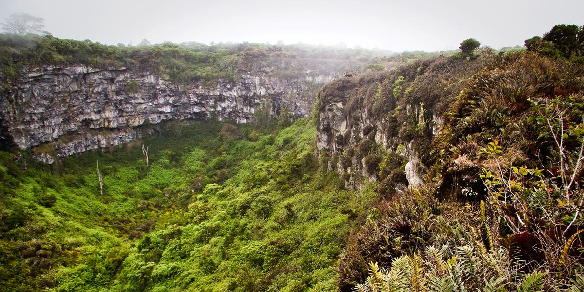 Charles Darwin Research Station, visit Los Gemelos, return to Quito