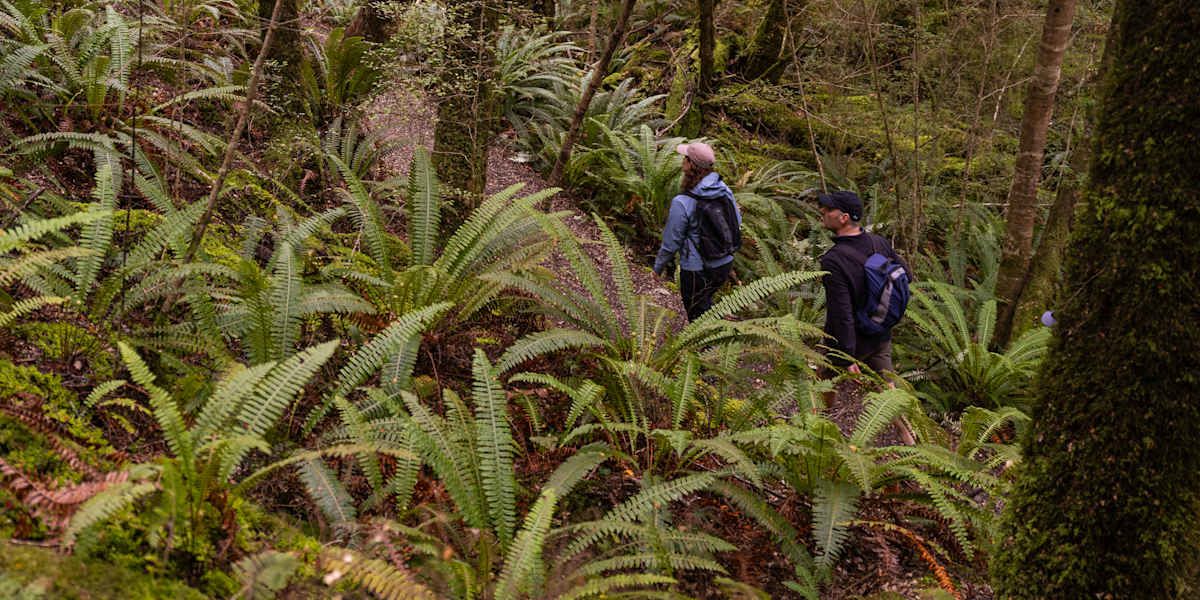 Cruise Out of Doubtful Sound, Hike the Kepler Track, and Dinner in Te Anau