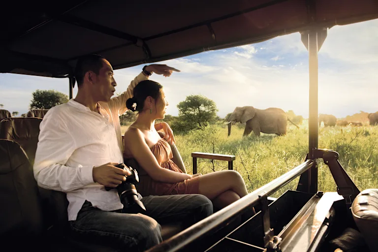 Cape Town and Kruger National Park Safari